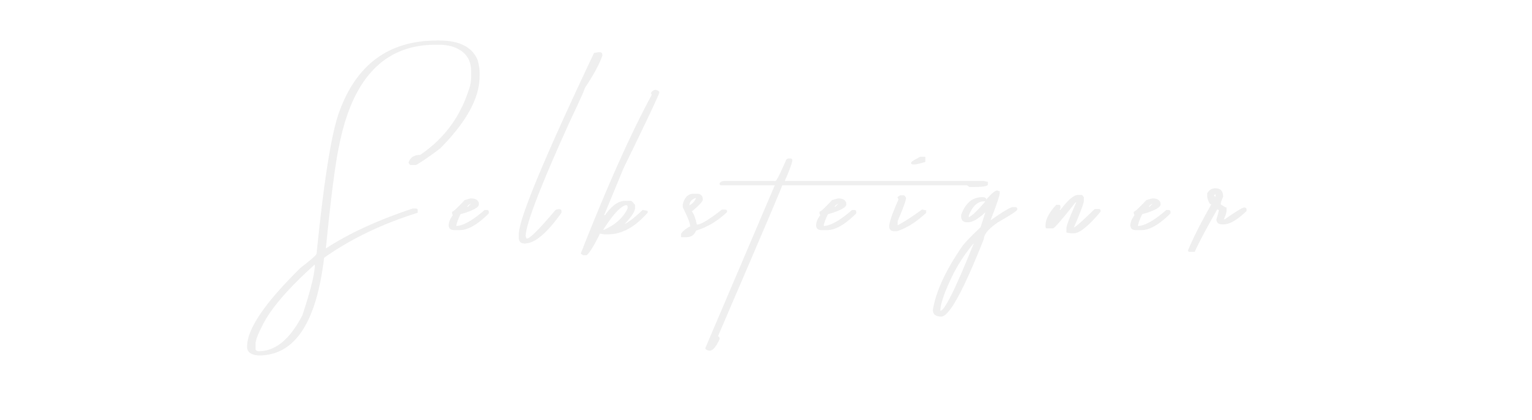 Selbsteigner Logo